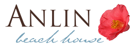 Anlinplace logo.gif