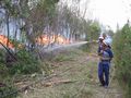 Crags fire3.jpg