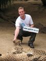Skype cheetah.jpg