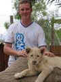 Skype lion.jpg